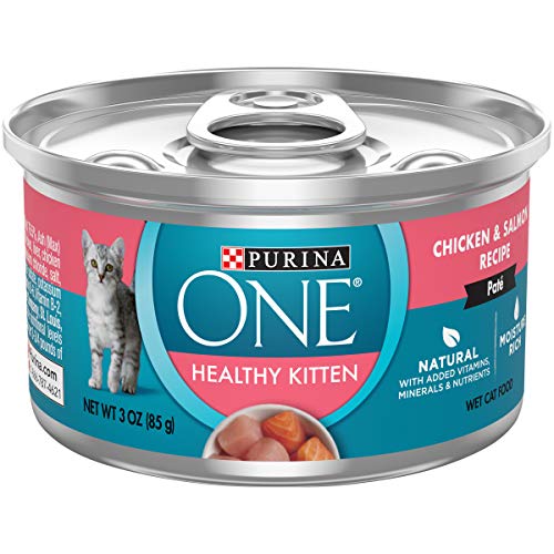 The Best Wet Cat Foods of 2021 - Pet Life Today