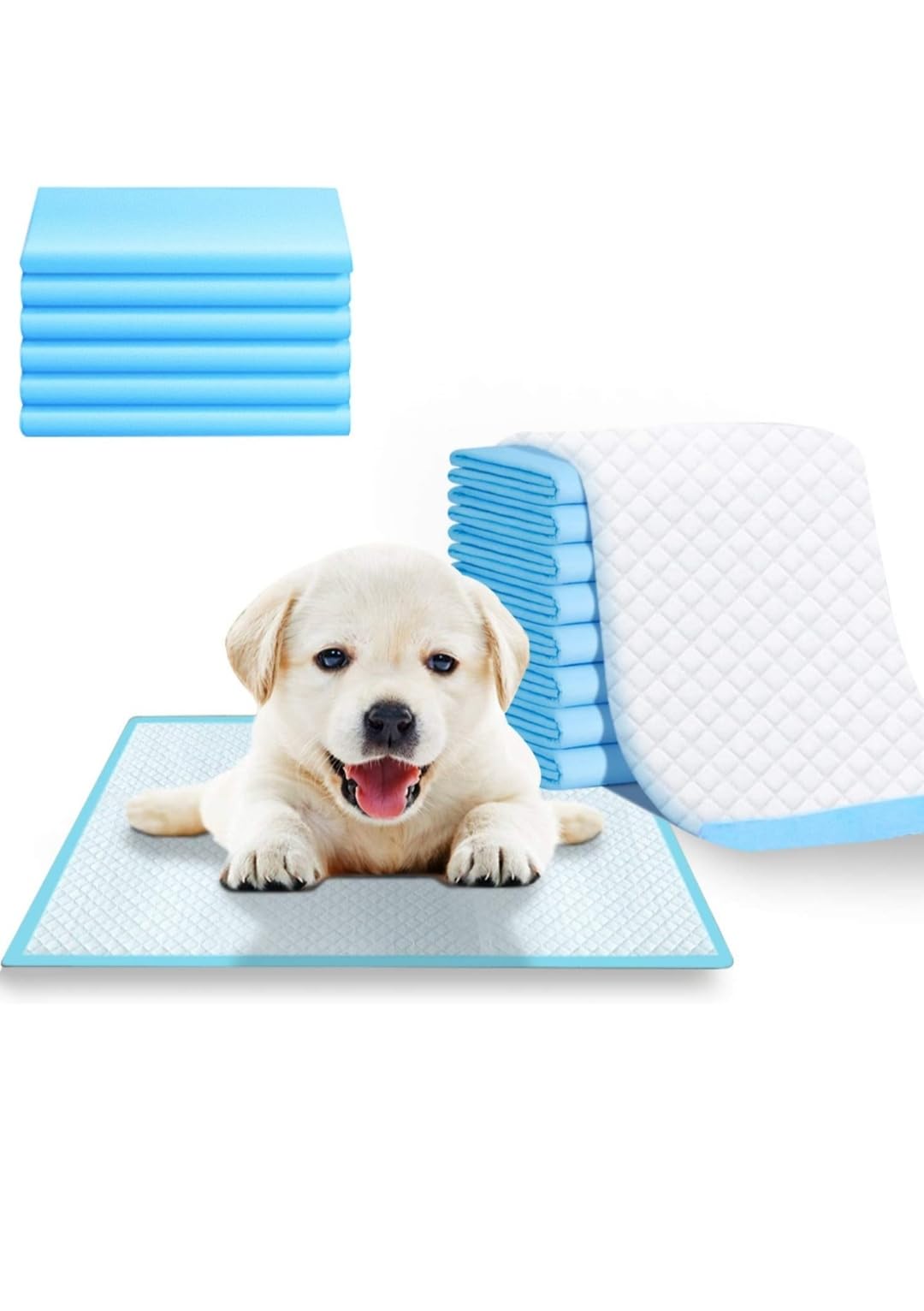 Bulldogology Puppy Training Dog Heavy Duty X-Large Size 90*60 CM 50 Count Pee Training & Potty Training Pads [updated Adhesive Floor Strips] Suitable For Adult Large Dogs Cats & Puppies Super Absorbent (Made In India) Blue Color (B09P4177M9) Amazon Price History, Amazon Price Tracker