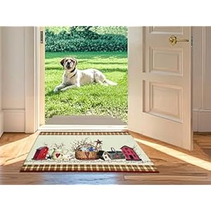 Country Stars and Hearts Non-Slip Doormat Accent Rug Soft Absorbent Microfiber Floor Mat Bathmat with Rubber Backing for Bathroom Kitchen Decorative 28 X 17 Inches Country Stars and Hearts Non Slip Doormat Accent Rug Soft Absorbent Microfiber Floor Mat Bathmat with Rubber Backing for Bathroom Kitchen Decorative 28 X 17 Inches