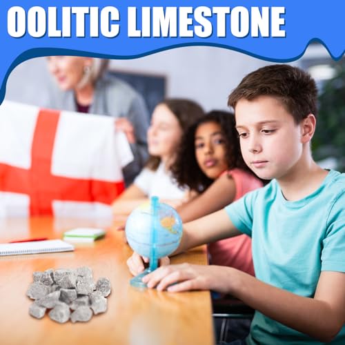 Image of Tandefio 24 Pack Oolitic Limestone 1 inch Limestone Rock Sedimentary Rock Specimens for Aquarium Experiment Back to School Science Classrooms Class Teaching Aid, Ages 8 up