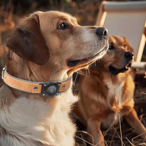Halsband Hund Leder mit Air Tag Halter, Airtag Hundehalsband IPX8 Wasserdicht, Handgefertigt, Weich und Bequem, Reflektierend, Verstellbare Polsterung, für Mittlere Große Hunde (Hellbraun, L)