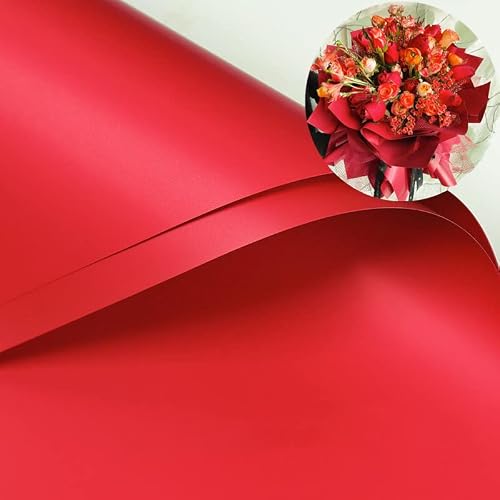 XICHEN 20 Sheets/Solid color Korean style waterproof Colors Flower Wrapping Paper,Florist Bouquet Paper,DIY Crafts,gift wrapping paper ouya paper58 x 58cm/22.8x 22.8 inch (Red)