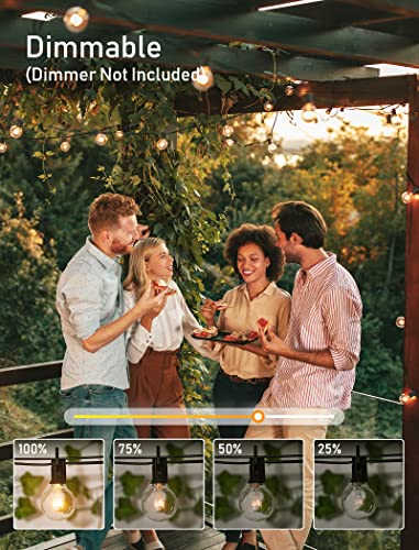 image for Brightown Outdoor String Light 55Feet G40 Globe Patio Lights with 52 E
