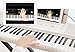 The ONE Music Group, 61-Key Digital Pianos-Home, The ONE Light (TOK1W)