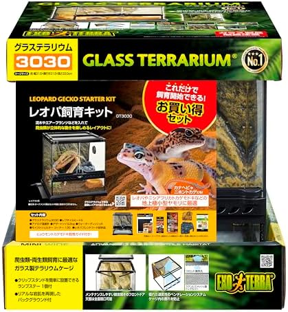 グラステラリウム3030 ③ 飼育一式セット 爬虫類 GEX（ジェックス） エキゾテラ グラステラリウム 3030 爬虫類