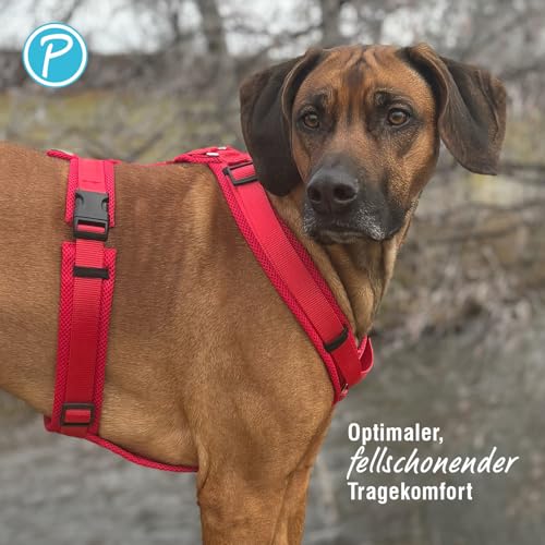 Petlando Hundegeschirr atmungsaktiv, leicht & weich, komfortabler Y-Comfort-Sitz mit Mesh Rot Größe L für mittelgroße bis große Hunde