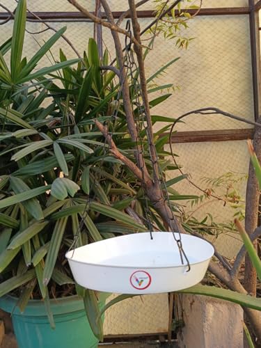 Image of Hanging Bird Feeder and Bird Bath Set, 2 Pack, White and Red, with Metal Chain Hook