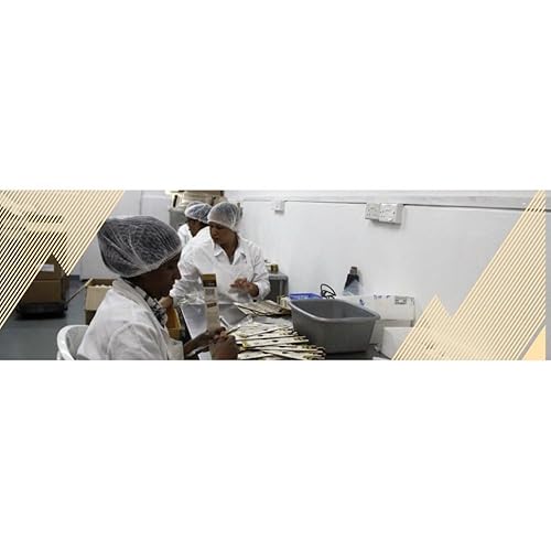 Foto von Bourbon Vanilleschoten (25 Stk. - 10-11cm) Top Gourmet Qualität - Grade A 100% natural aus Madagaskar