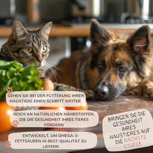Lamina Care - Lachsöl Hunde und Katzen, Angereichert mit Omega 3, 6, EPA und DHA, Fortschrittliche Formel auf Lachsöl Katze für Gesunde Haut und Starke Gelenke, Natürliches Fischöl für Hunde