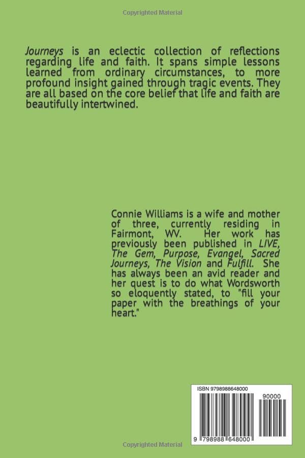 Miniatura 2 de Journeys