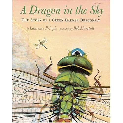 Dragon In The Sky