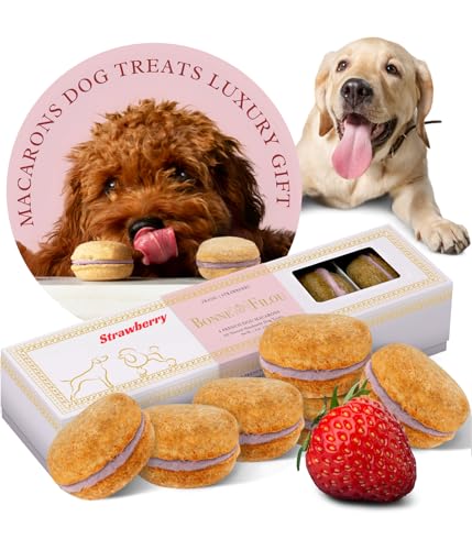 Bonne et Filou Dog Treats, Strawberry Cakes, Dog Birthday Gift for Medium to Large Breed – Gourmet Macaron Cakes, Healthy & Delicious Human Grade Snacks – 6 Count
