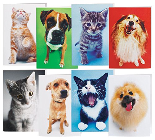 WalterDrake Dog And Cat Blank Note Card