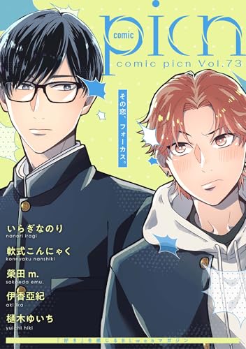 comic picn vol.73 (picn comics)