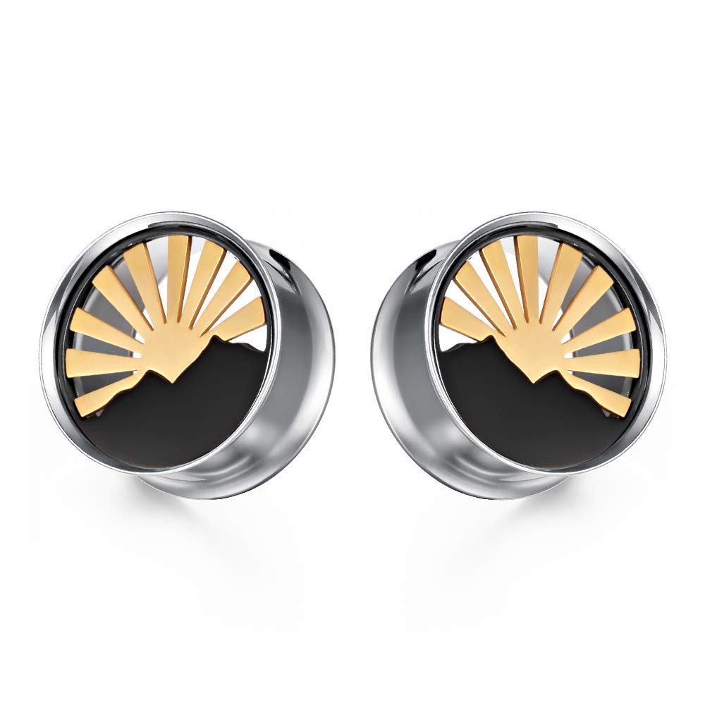 TBOSENTBOSEN 2PCS Sunrise Style Multi Element Plugs and Tunnels for Ears Stainless Steel Ear Gauges Piercing Hangers Expander Stretchers 0g-1'' in 8mm-25mm