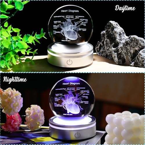 Image of Arikyrist Crystal 3D Human Heart 3.15 in. Ball Gifts for Men Women Doctor | Glass Sphere Etched Heart Model, Colorful Light Base, Graduation Keepsake, for Surgeon Cardiologist Anatomy Art Decor