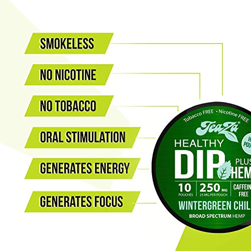 TeaZa Energy Smokeless Alternative with Hemp | Quit Chewing and Dipping Snuff | Nicotine and Caffeine Free Herbal Energy Pouch (Wintergreen Chill, 1 Pack)