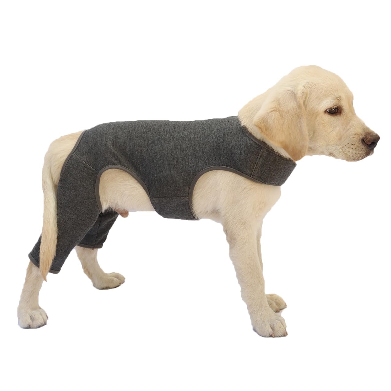 Dog Bodysuit After Surgery Body Dog, Wound Protection Suits for Dogs Anti-Wound Licking Op with Leg - Image 4