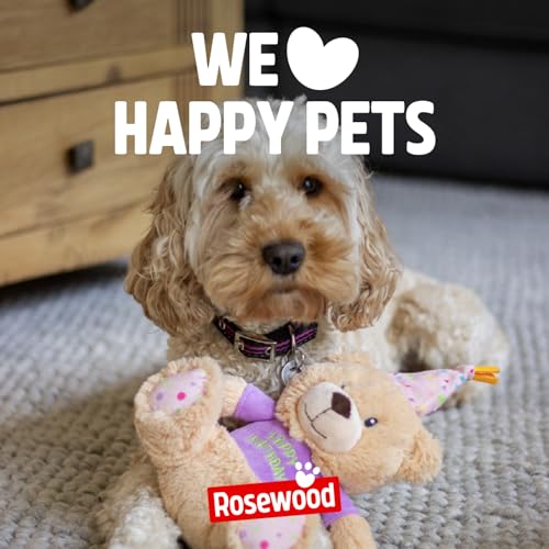 Rosewood Bonnie Geburtstagsbär - Plüsch-Hundespielzeug mit Quietscher - Weiches Kuscheltier als Hundegeschenk für Geburtstage, Adoptionstage und Festliche Momente