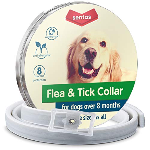 Top 10 Best Dog Flea and Tick Collars of 2019 Review Best Pet Pro