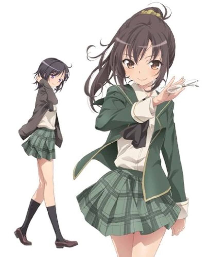 ( 美品 ) 僕は友達が少ない６巻＋OVA・NEXT６巻 ブルーレイ全巻セット Amazon.co.jp: 僕は友達が少ない 6 (MF文庫 J) : 平坂 読