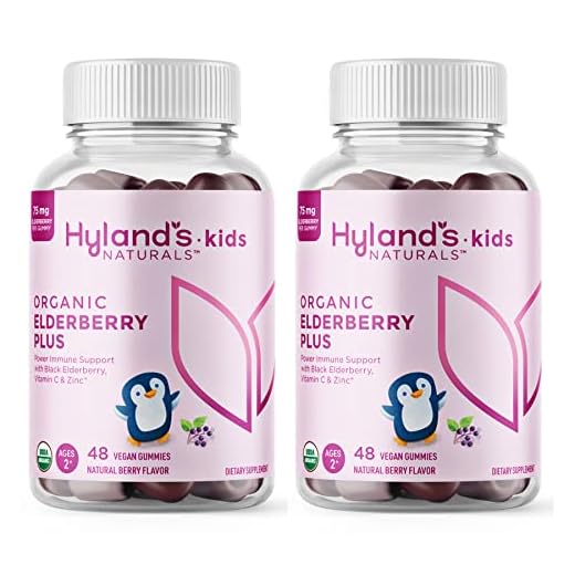 Hyland's Naturals Kids Organic Elderberry Plus Gummies, Organic Black Elderberry with ZINC and Vitamin C, Immune Support for Children, 48 Vegan Gummies (2 Pack)