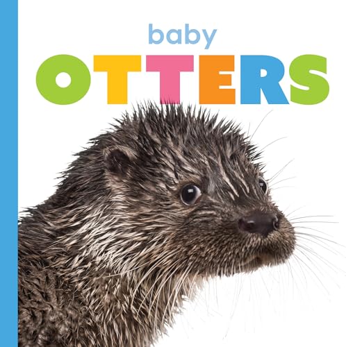 Baby Otters (Starting Out)
