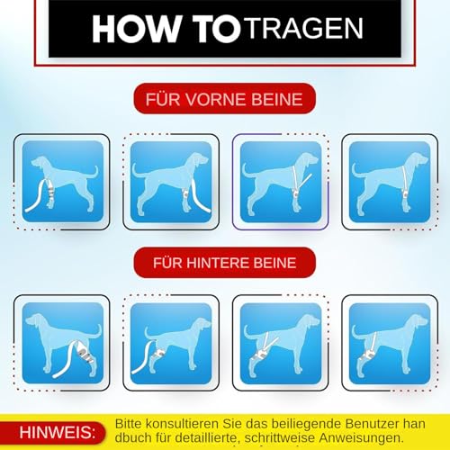 Kniebandage für Hunde bei Kreuzbandriss - Schmerzlinderung bei Arthrītis & Bänderriss | Hinterbeinstütze für Verletzungen, OP-Erholung & Gelenkstabilität | Einstellbare, rutschfeste Schutzmanschette