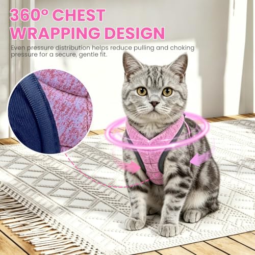 Image of HEYWEAN Cat Harness and Leash - Ultra Light Escape Proof Kitten Collar Cat Walking Jacket with Running Cushioning Soft and Comfortable Suitable for Puppies Rabbits