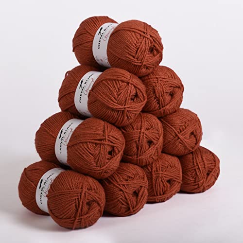 Laines Cheval Blanc - Lot 10 pelotes de fil à tricoter (10x50g) UTTACRYL 100% acrylique - 1300 m de fil pour tricot et crochet