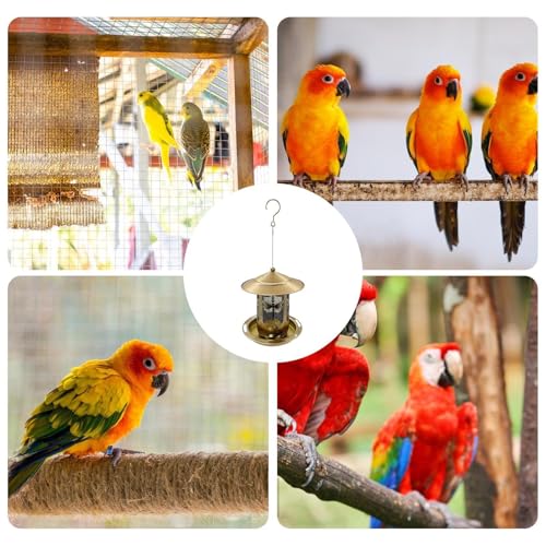 Mangeoire oiseaux extérieur avec base remplaçable pour jardin