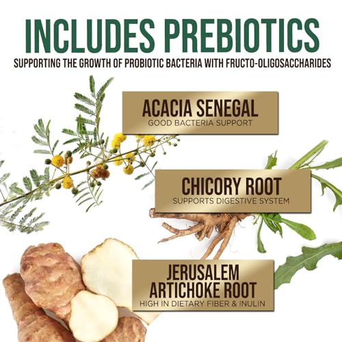 Daily Probiotic and Acidophilus Prebiotics Supplement 60 Billion CFU Capsule for Women & Men - 10 Strains Plus Digestive Enzymes - for Bloating Gas & Gut & Immune Health Support - 120 Capsules