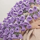 Crochet Rose Blanket, Crochet Flower Bouquet Blanket, Soft and Lightweight Romantic Rose Flower Bouquet Knitted Throw Blankets Pastel Tones, Suitable for All Occasions, Giving Warmth(Purple)