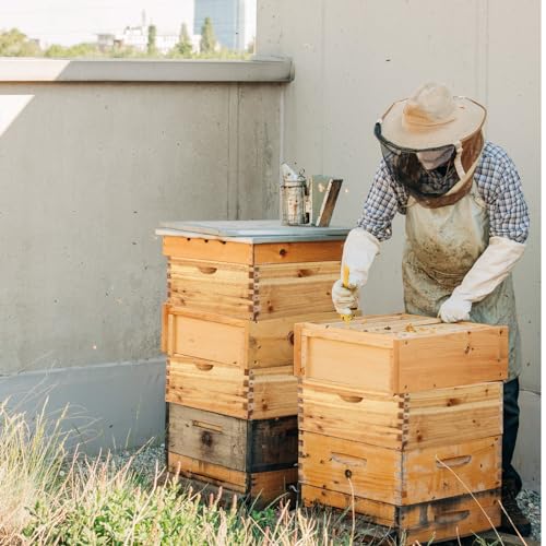 Colingmill JYI-COLINGMILL-0001 Deep Bee Box For 10 Frame Unassembled Hive Box Brood Boxes thumb #6