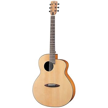 aNueNueアコースティックギター Amazon | 【aNueNue】アコースティックギターaNN-LL16 Black