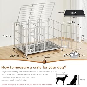 aboxoo 48" Heavy Duty Metal Dog Crate, Indoor Kennel for 2 Dogs with Divider — photo 2 of 6