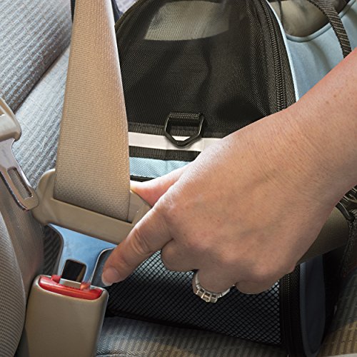 Furhaven Multipurpose Tote Bag Pet Carrier W/ Weather Guard - Robin Blue, Large #TOP4