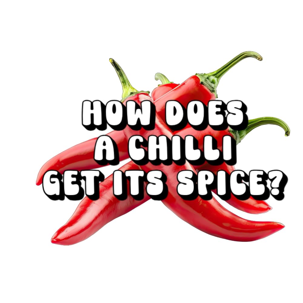 How Does a Chilli Get Its Spice?