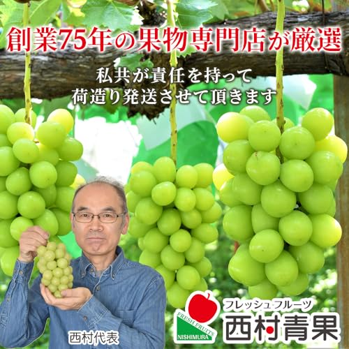 FRESH FRUITS\NISHIMURA シャインマスカット 2房(1kg前後) の商品画像 6