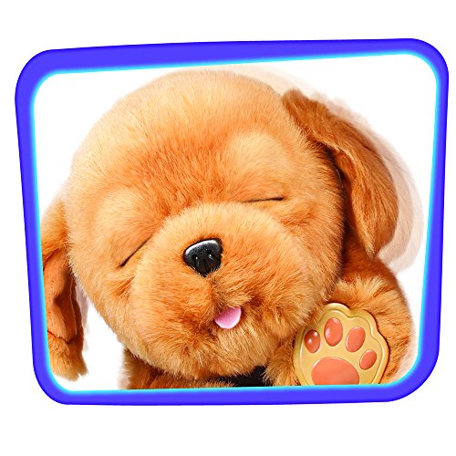 little live pets sleepy puppy