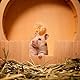 XFLYP Hamsterrad 20cm, Holz Bogie Wheel Laufrad, Trainingsspielzeug Käfig Zubehör für Totoro Mouse zwerghamster Eichhörnchen Chinchillas Rennmäuse Kleintier Haustier