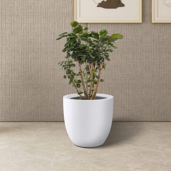 Global Trade & Utility Products Fiber Reinforced Plastic Planter, White, 10 Width X 12 Height, 1 Piece, 9.84 Inch, 25 cm (B07RRTBRWP) Amazon Price History, Amazon Price Tracker
