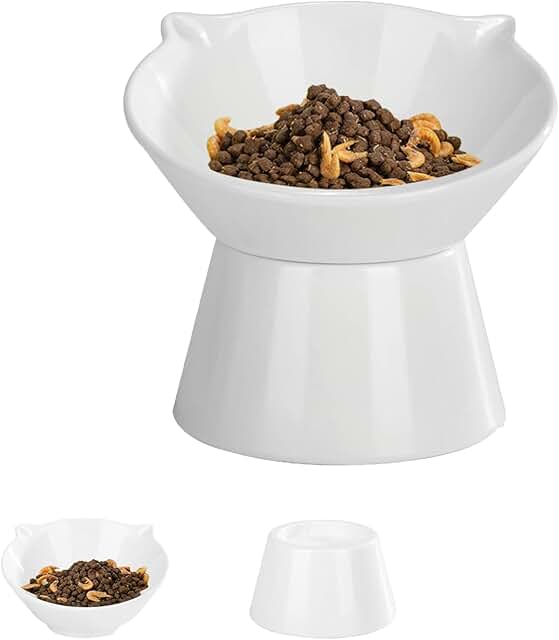 vootun Futternapf Katze,Katzennapf Erhöht mit 15 Grad Neigendem Design, Katzennapf für Katze Hunde Welpe Futter Und Wasser,Fressnapf Katze sind Leicht zu Reinigen,Schützen den Nacken,Weiß product image