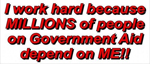 Signs By Woody Political Bumper Sticker Decal Right Wing Anti Obama Conservative Sticker