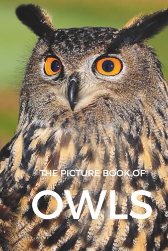 The Picture Book of Owls: Picture Book Gifts for Dementia Patients and Alzheimer's Patients - 40 Owl Picture (Picture Book Gifts for Alzheimer's Patients and Seniors with Dementia - Picture Books)