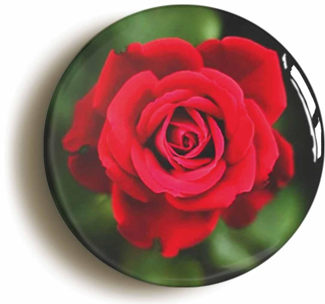 Red Rose Flower Fridge Magnet (Circular 2inch / 50mm Diameter)