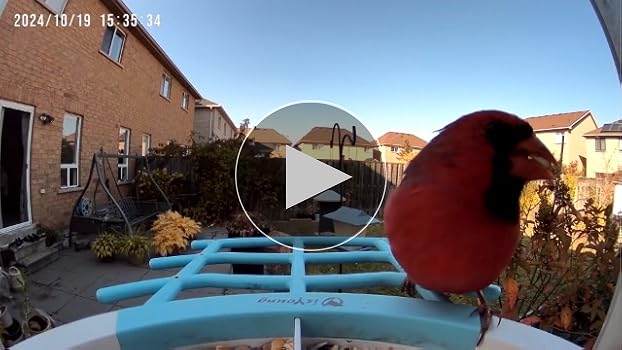 Amazon.com : Smart Bird Feeder with Camera, 2K HD, Dual