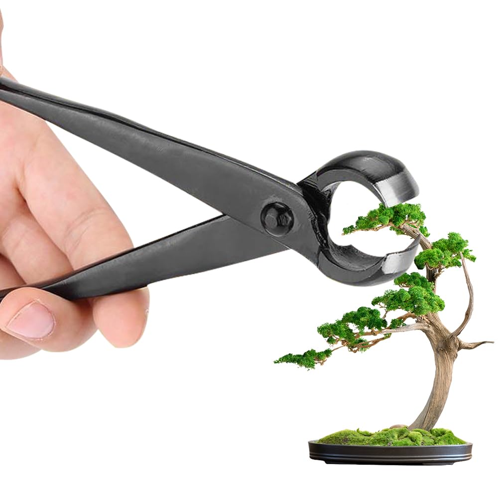 Taglierina Concava Bonsai, Attrezzi Bonsai Professionale, 210mm Concavo Cutter in Lega di Acciaio al Manganese, per Rimuovere Piccoli Rami, Sporgenze e Nodi