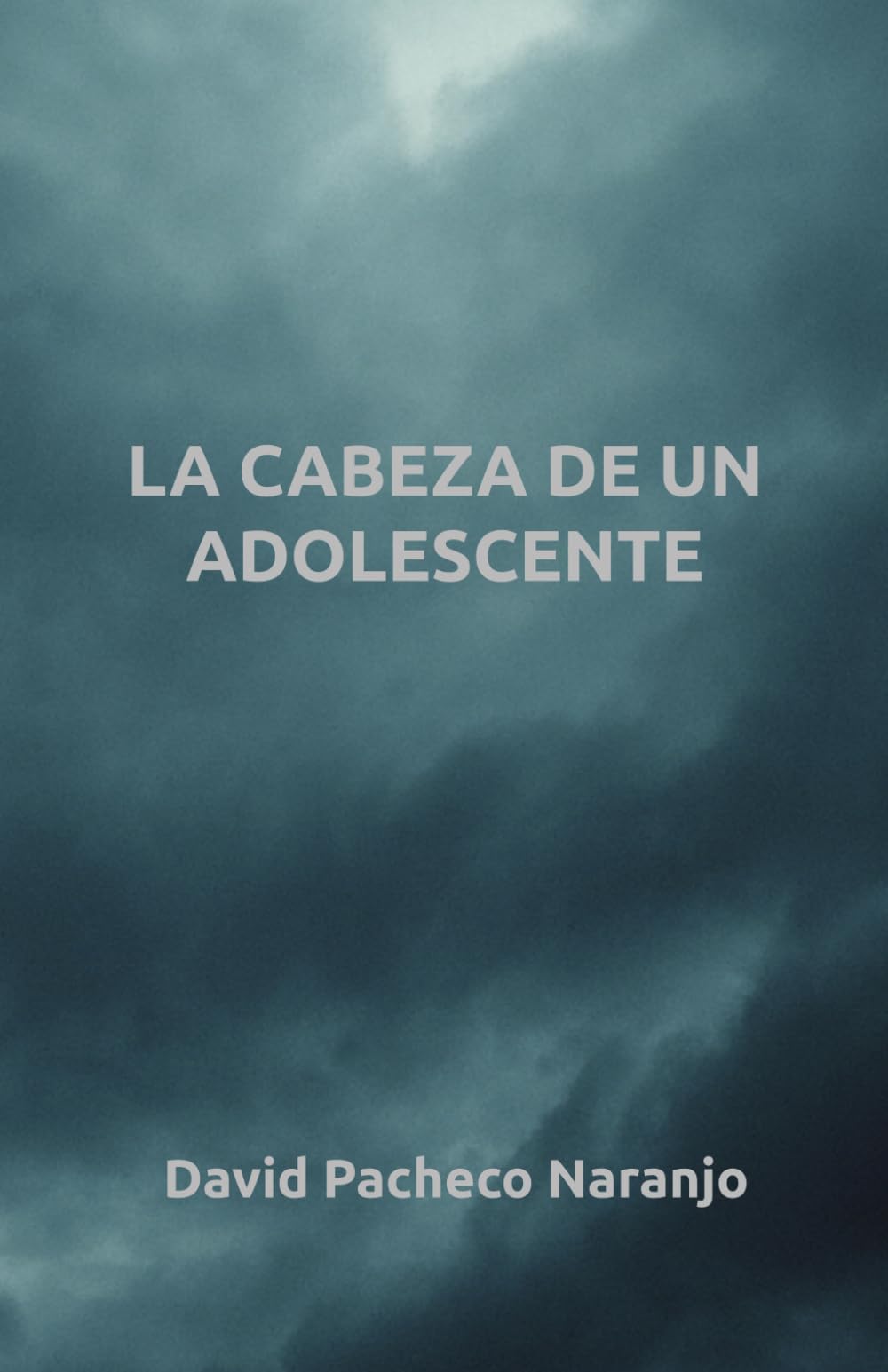 La Cabeza de Un Adolescente: A contraluz