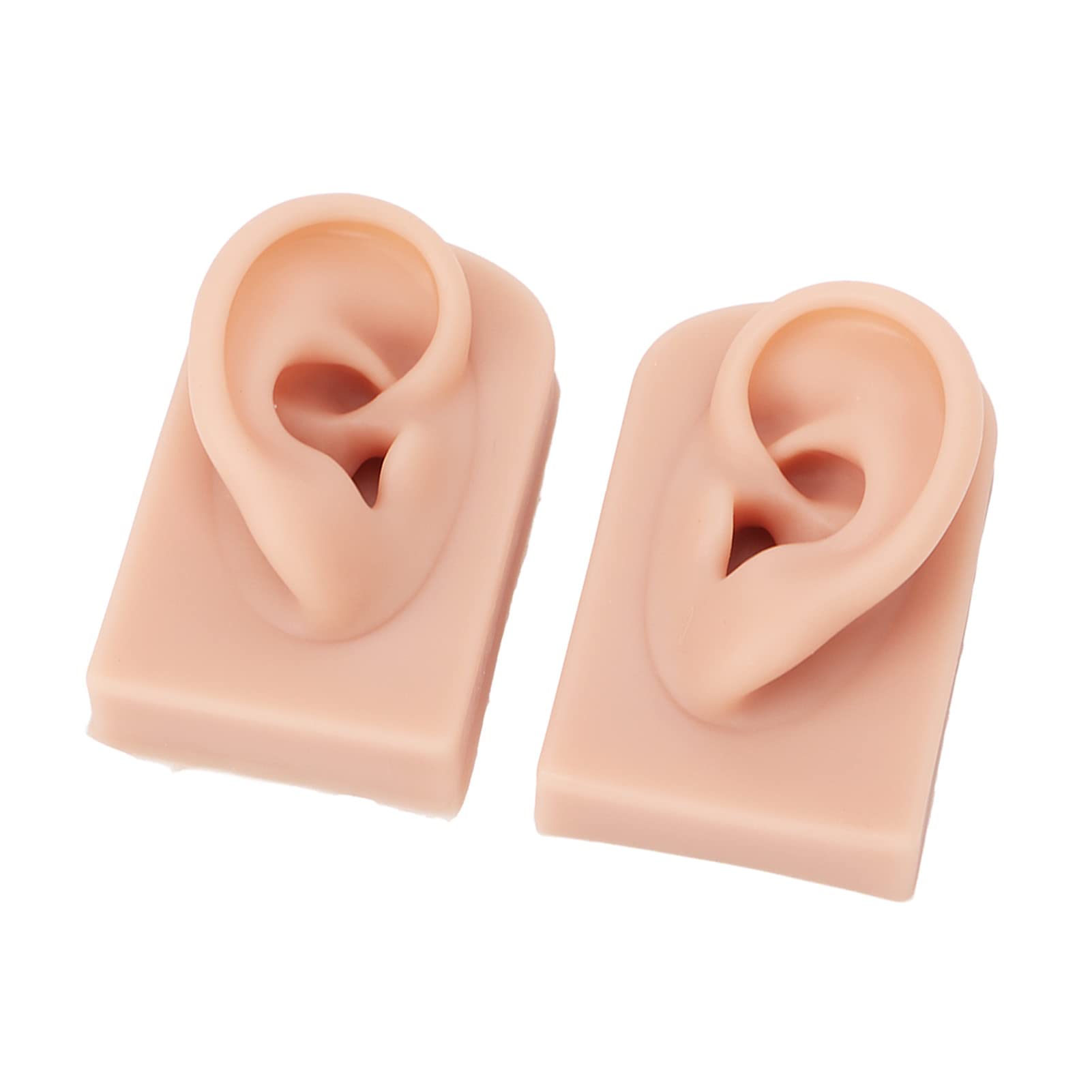 Modèle d'oreille en silicone souple, 2pcs Modèle d'oreille en silicone souple, Modèle de fausse oreille, Modèle de boucles d'oreilles pour l'étude, la pratique, les outils(Couleur chair moyenne)